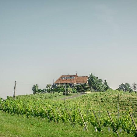 Taverna & Wine Jeruzalem Ivanjkovci Bagian luar foto