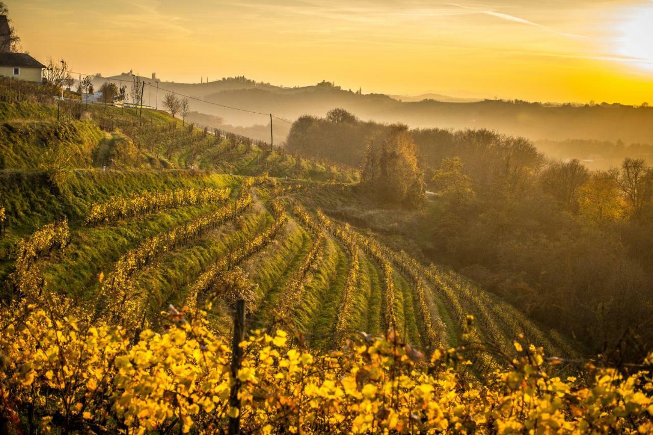 Taverna & Wine Jeruzalem Ivanjkovci Bagian luar foto