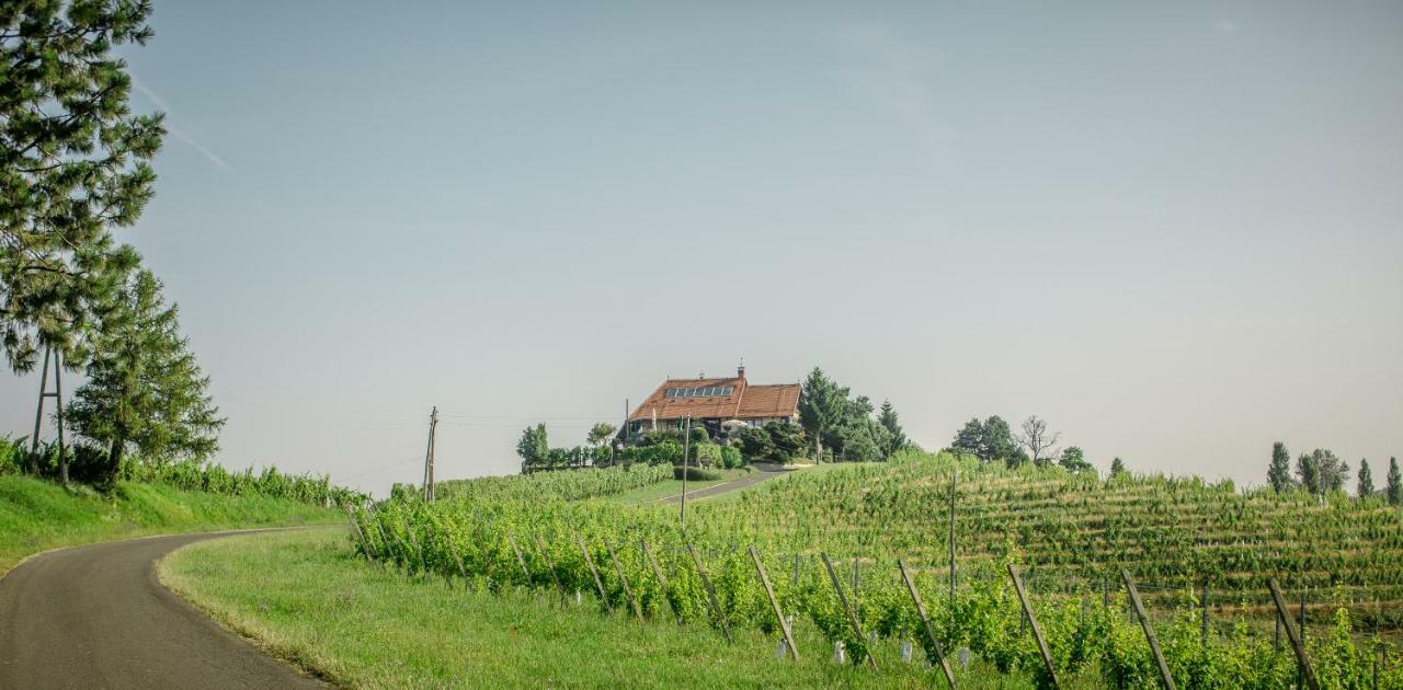 Taverna & Wine Jeruzalem Ivanjkovci Bagian luar foto